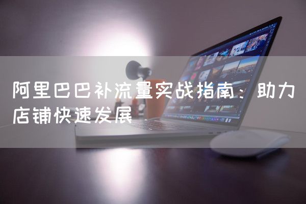 阿里巴巴补流量实战指南：助力店铺快速发展