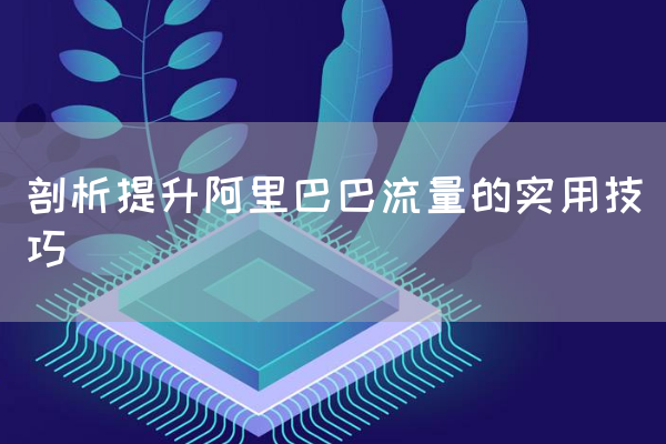 剖析提升阿里巴巴流量的实用技巧