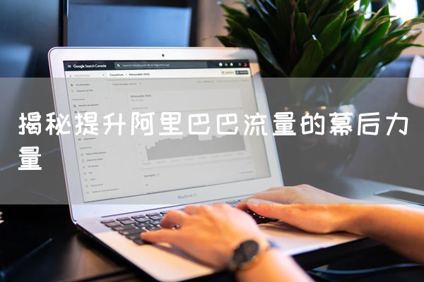揭秘提升阿里巴巴流量的幕后力量